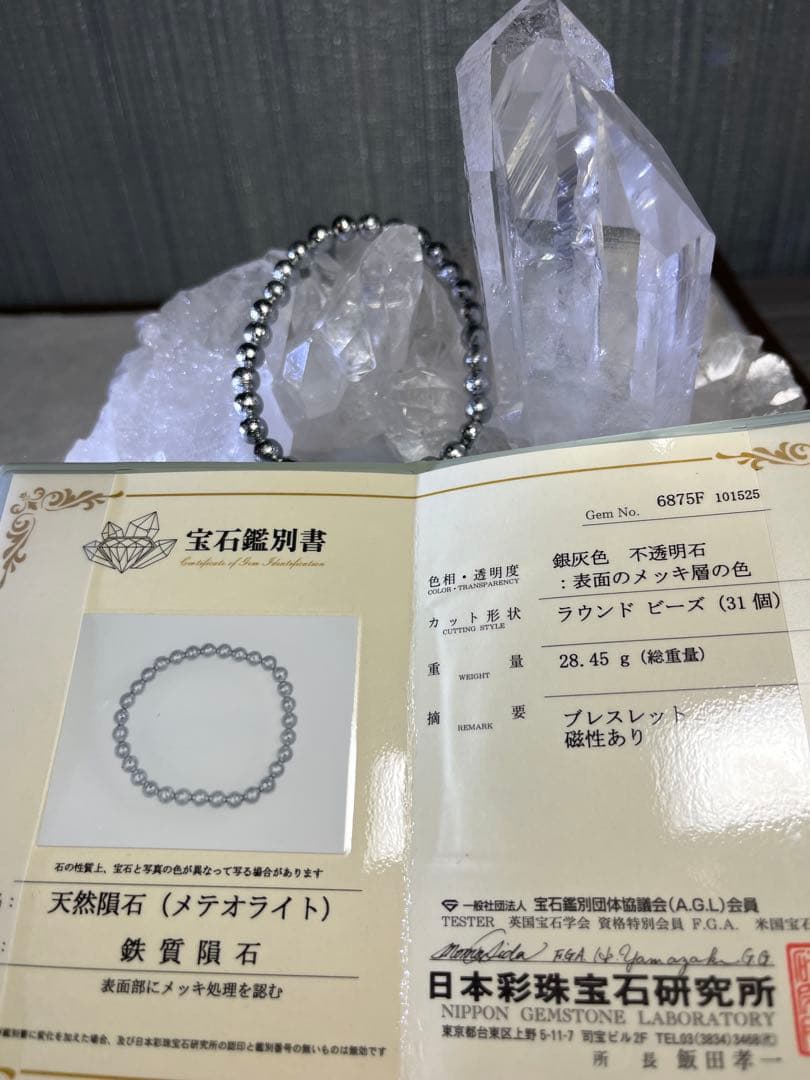 ギベオン隕石、鑑別書付き