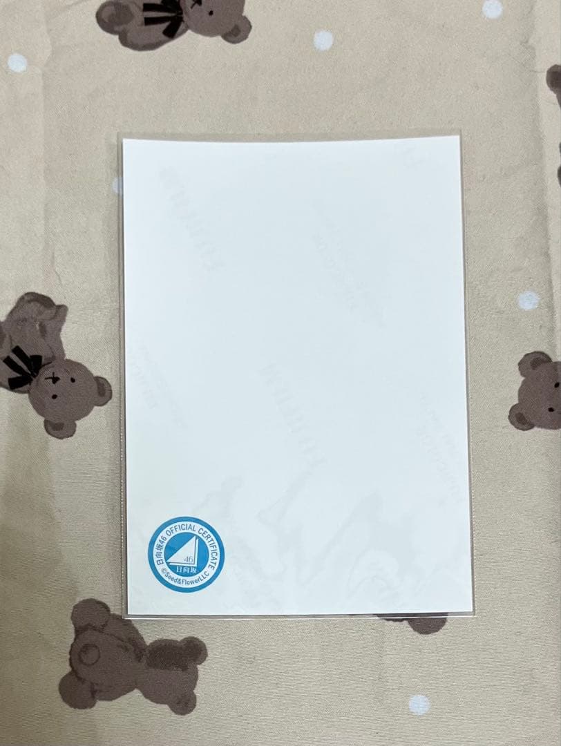 日向坂46 小西夏菜実　「6回目ひな誕祭」　ライブ衣装　直筆生写真