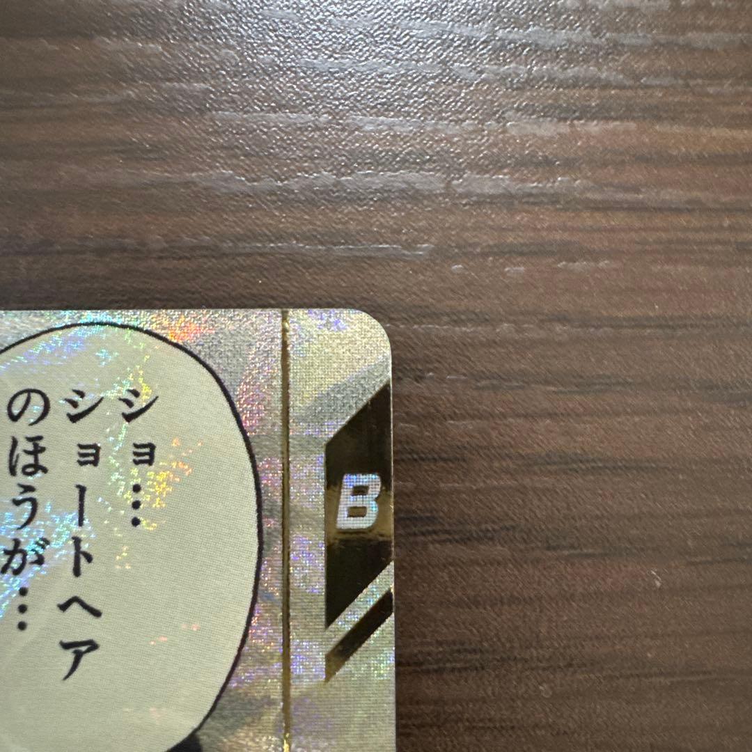 スーパーダイバーズ ビーデルパラレル(横線なし)