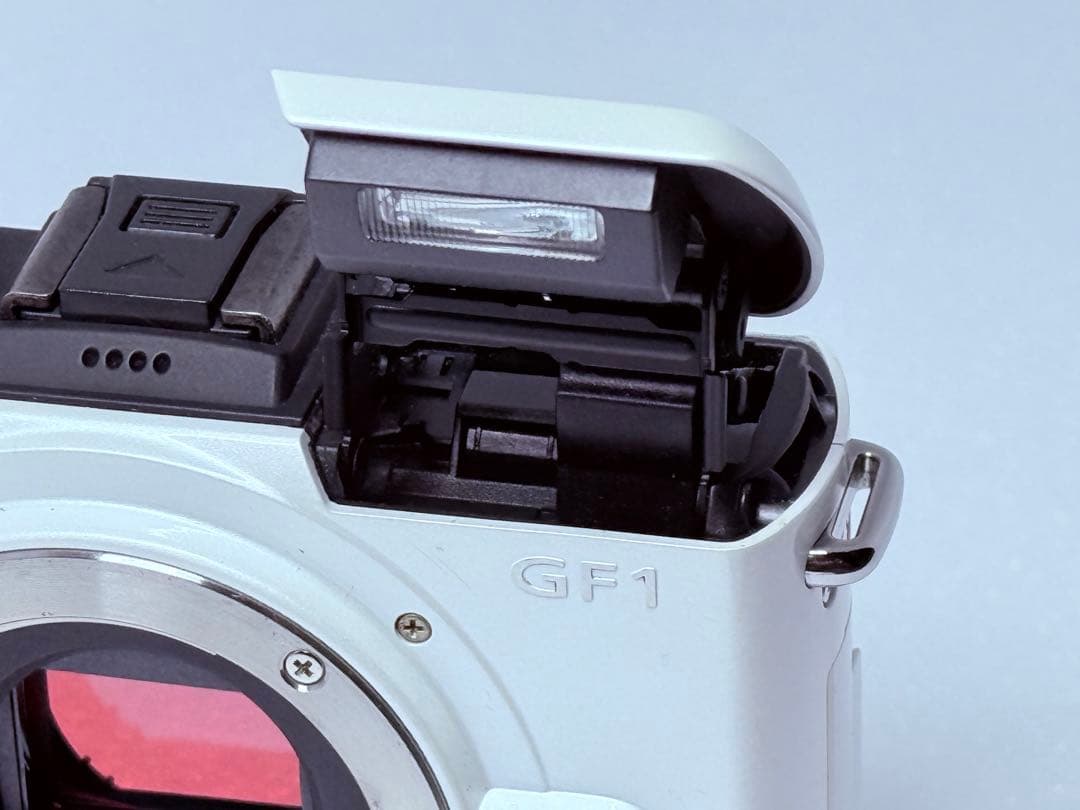 Panasonic LUMIX DMC-GF1 動作確認済 ミラーレス ボディ