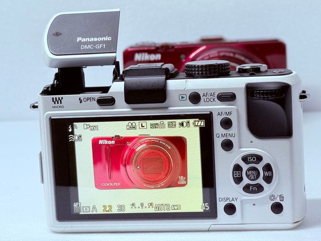 Panasonic LUMIX DMC-GF1 動作確認済 ミラーレス ボディ