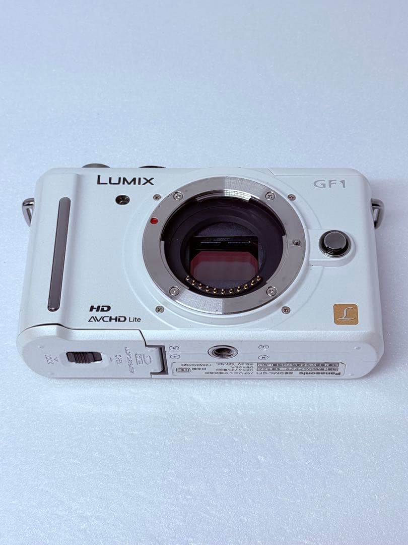 Panasonic LUMIX DMC-GF1 動作確認済 ミラーレス ボディ