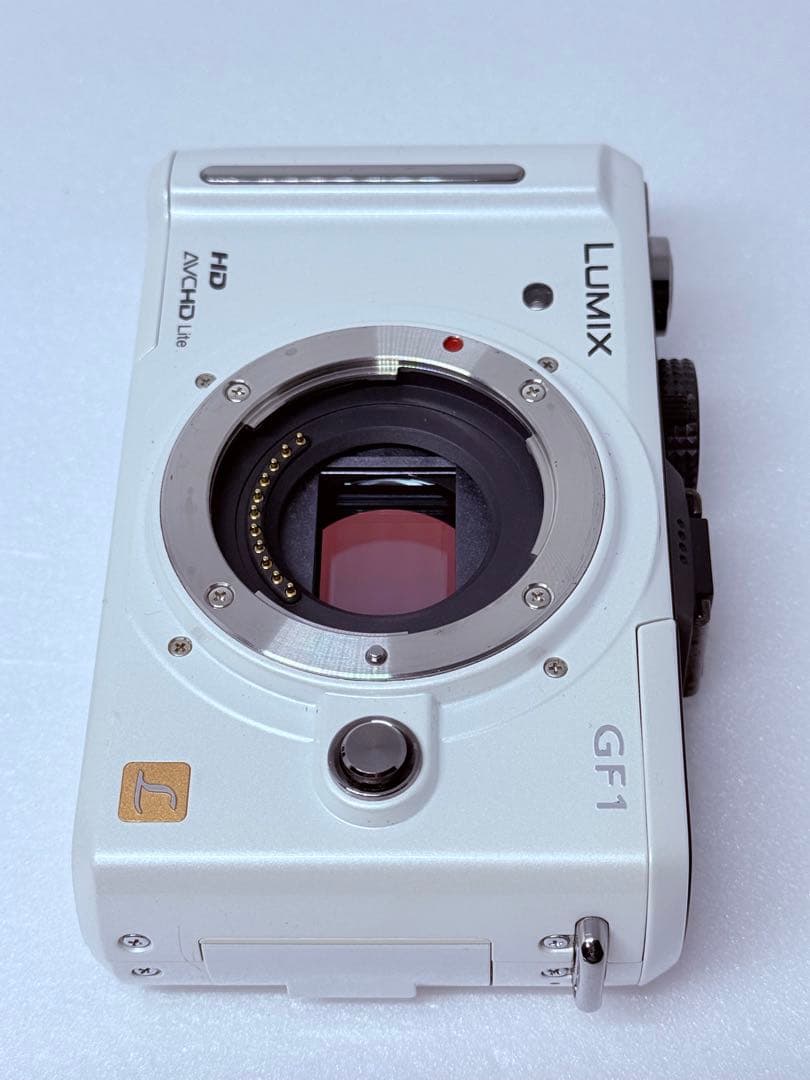 Panasonic LUMIX DMC-GF1 動作確認済 ミラーレス ボディ