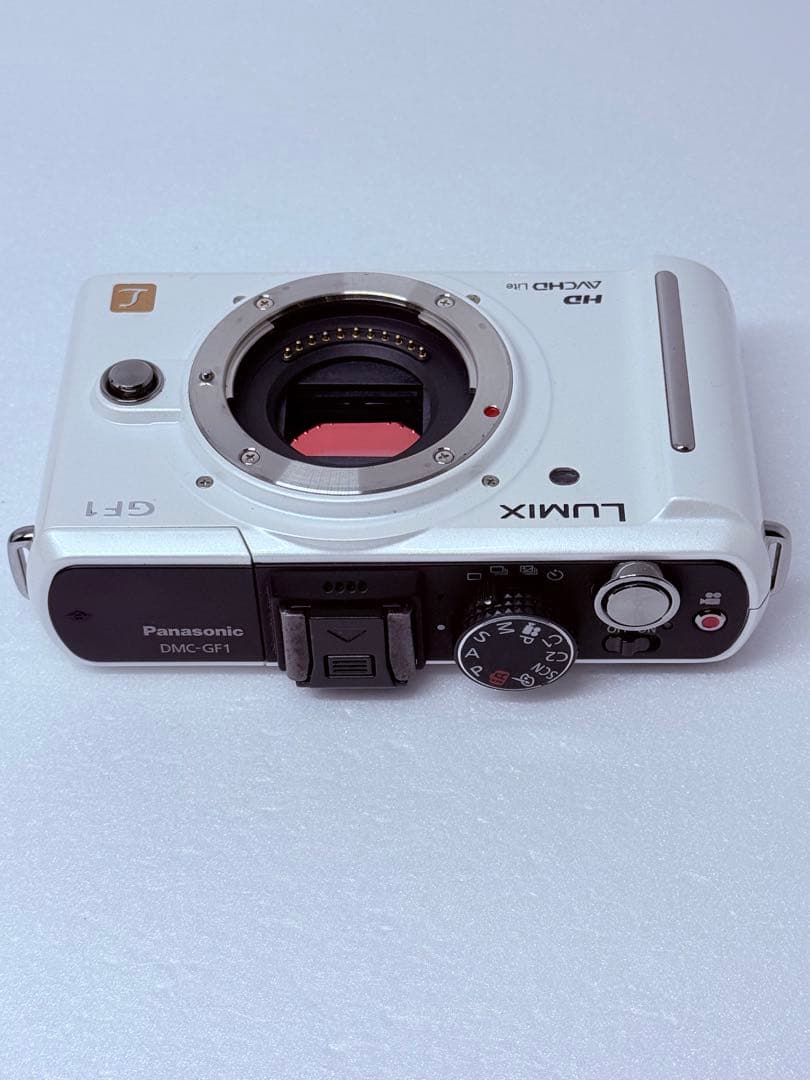 Panasonic LUMIX DMC-GF1 動作確認済 ミラーレス ボディ