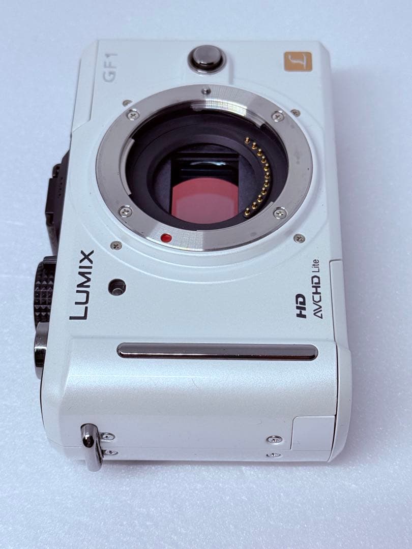 Panasonic LUMIX DMC-GF1 動作確認済 ミラーレス ボディ