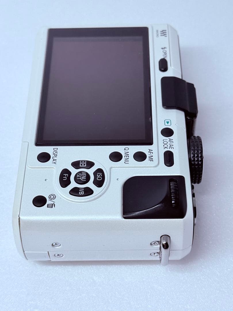 Panasonic LUMIX DMC-GF1 動作確認済 ミラーレス ボディ