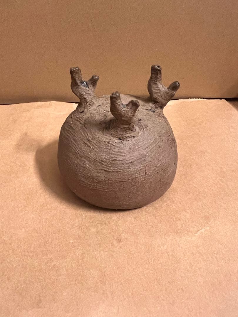 グラ丸　tendobotanical