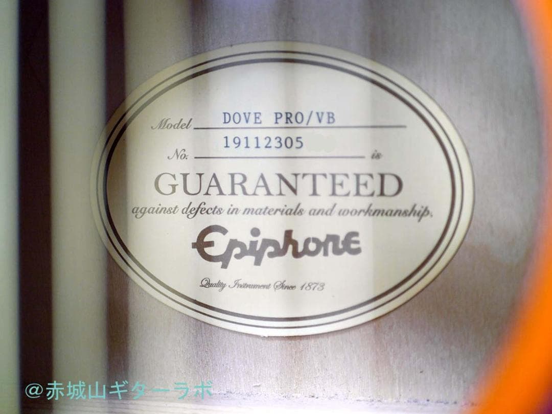 エピフォン DOVE Pro 2019年製 新品同様★純正ソフトギグバッグ付