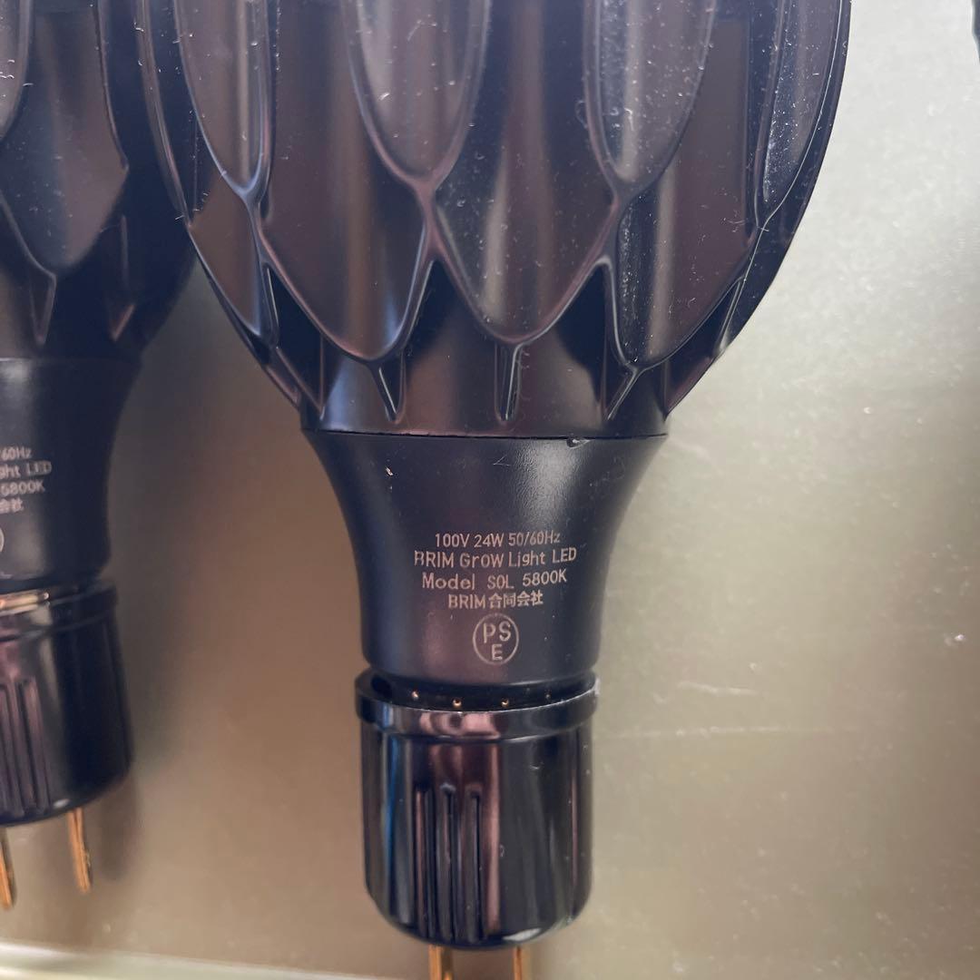 BRIM Grow Light LED 5800Kブリム　育成ライトアガベパキポ