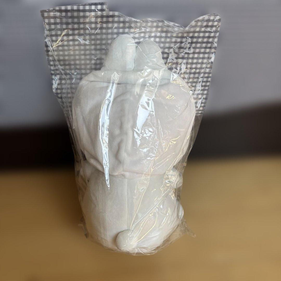 StrayKids skzoo抱きぬいぐるみ　PuppyM