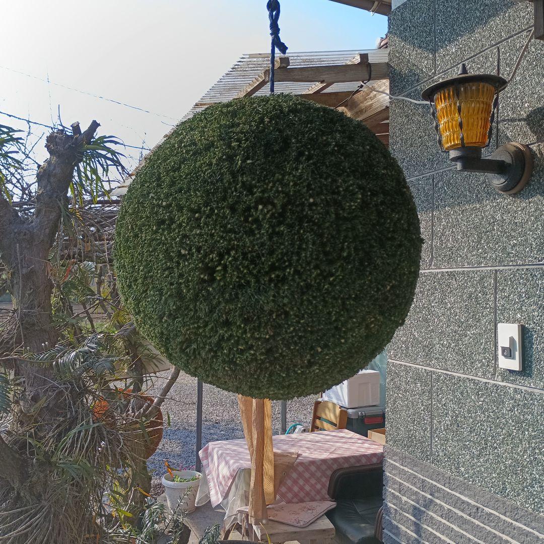 杉玉　直径約43ｃｍ