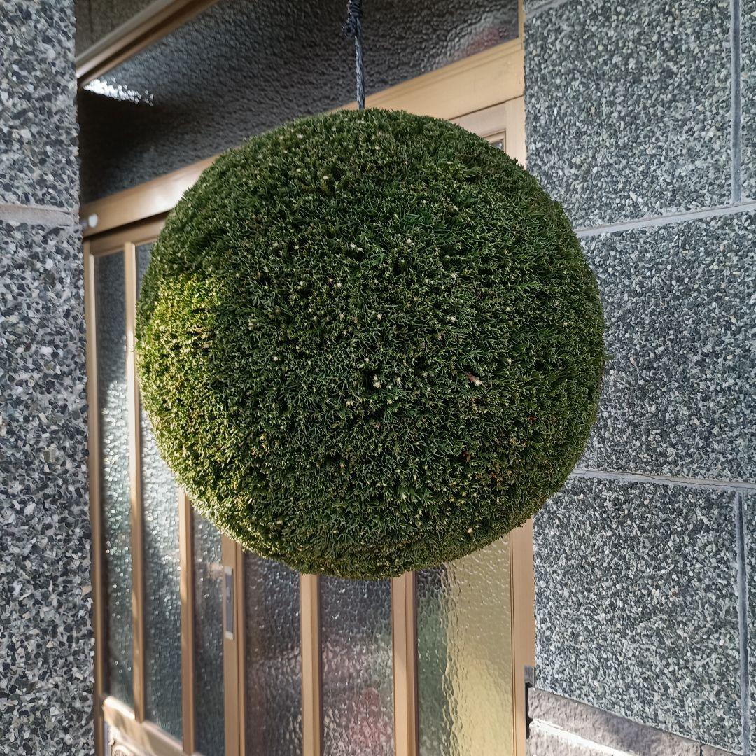 杉玉　直径約43ｃｍ
