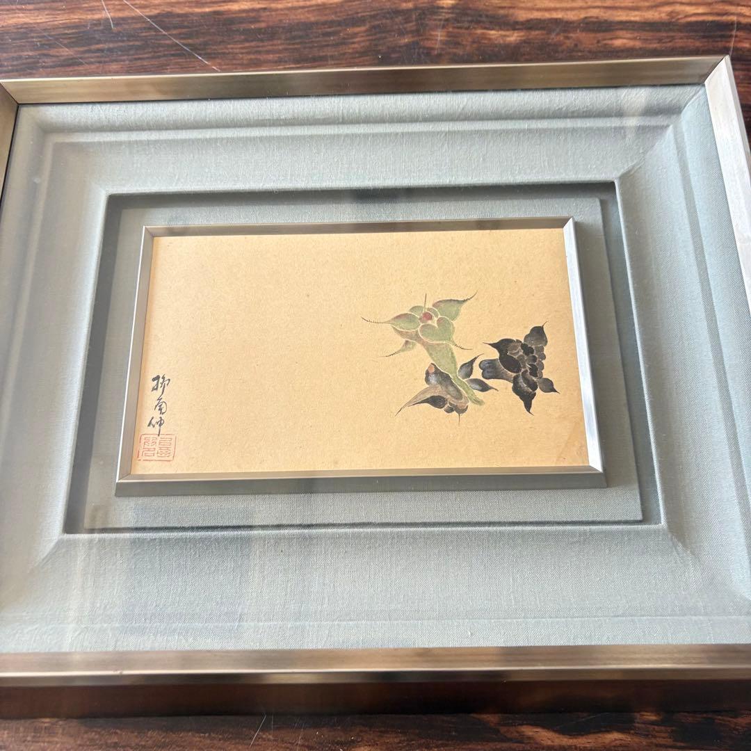 柳南 菱の花 日本画 額装 絵画 E