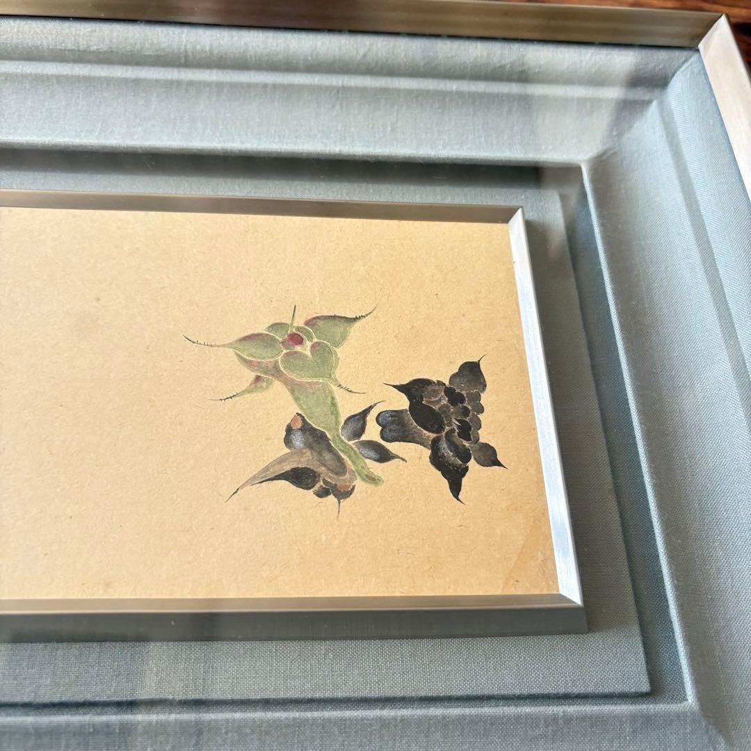 柳南 菱の花 日本画 額装 絵画 E