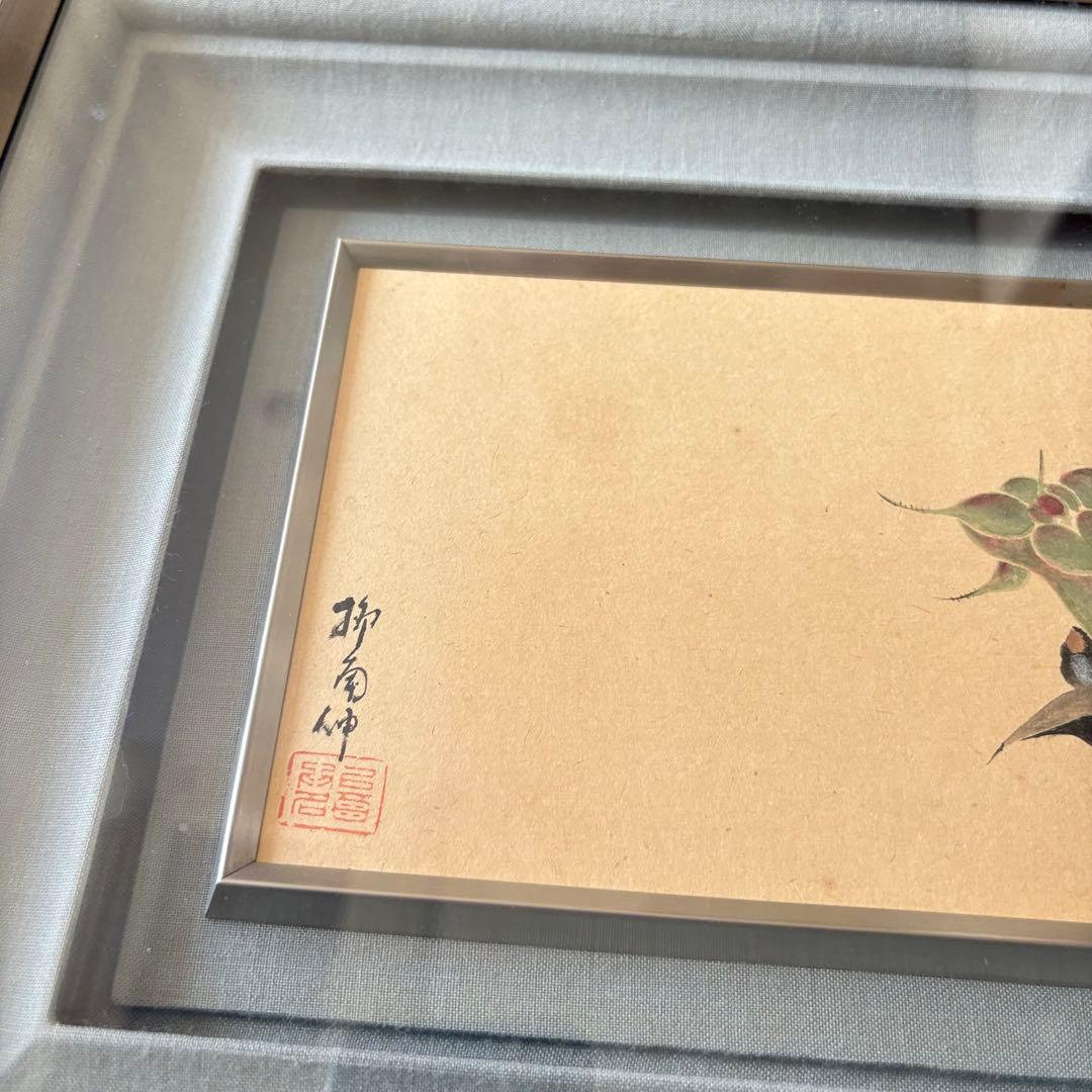 柳南 菱の花 日本画 額装 絵画 E
