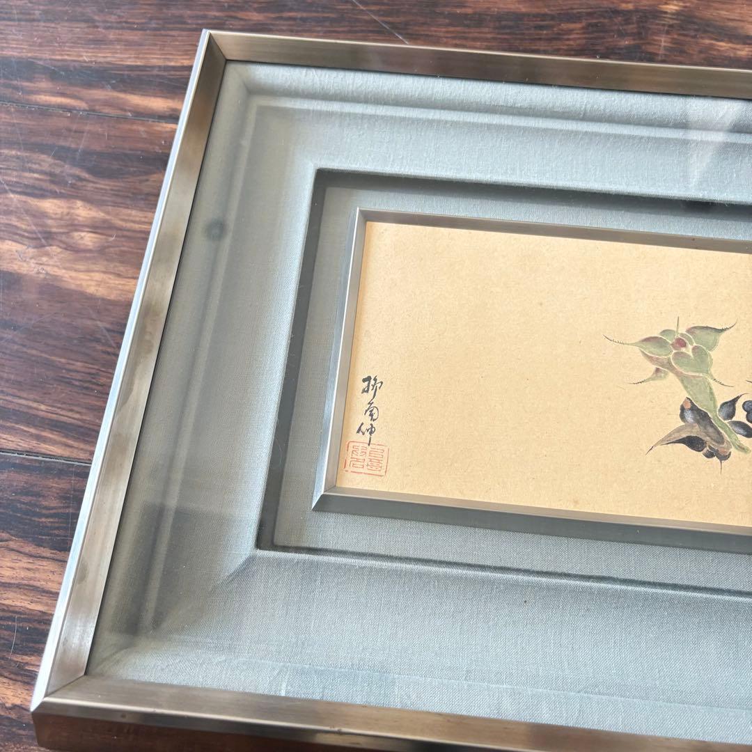 柳南 菱の花 日本画 額装 絵画 E