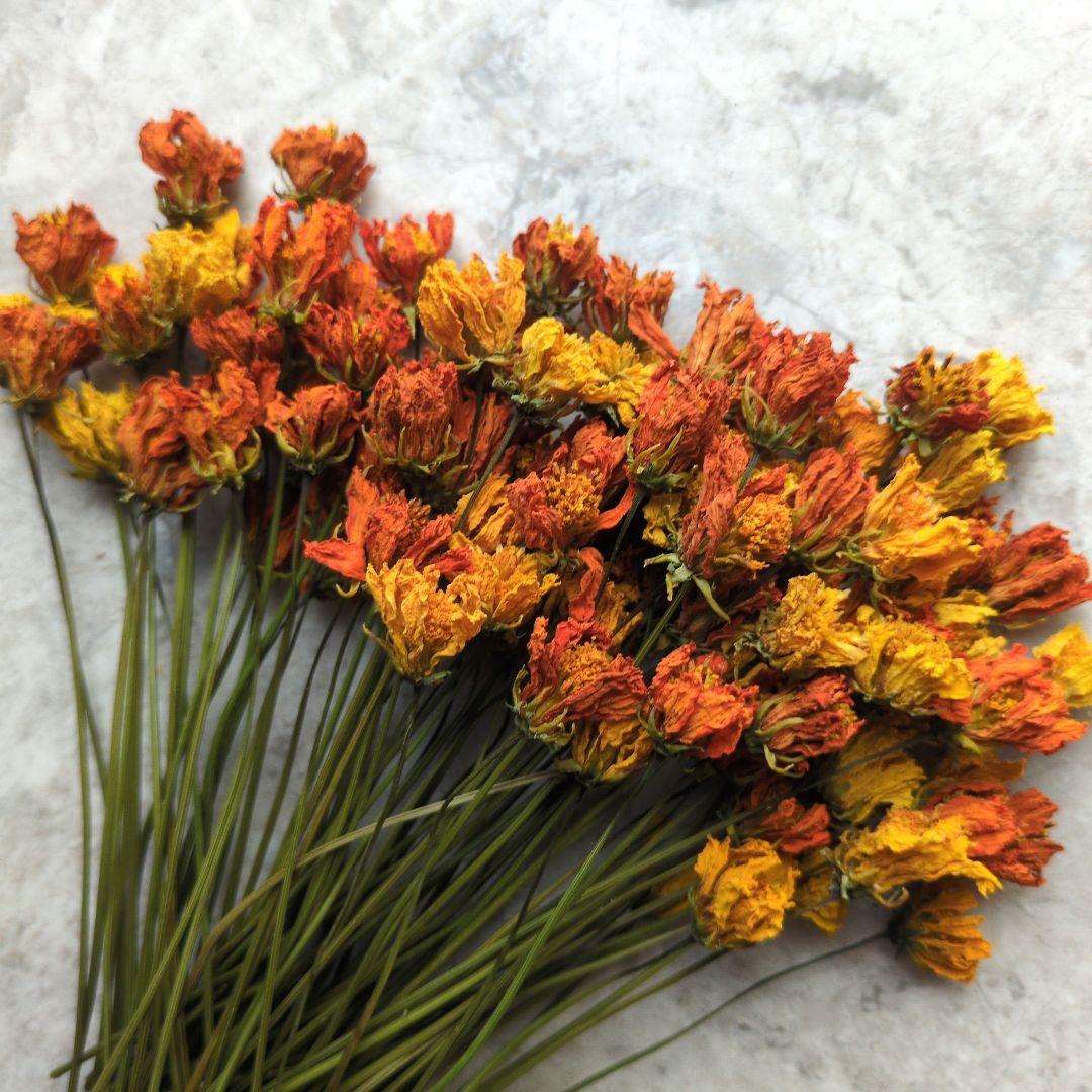 R★　ドライフラワー　お纏め