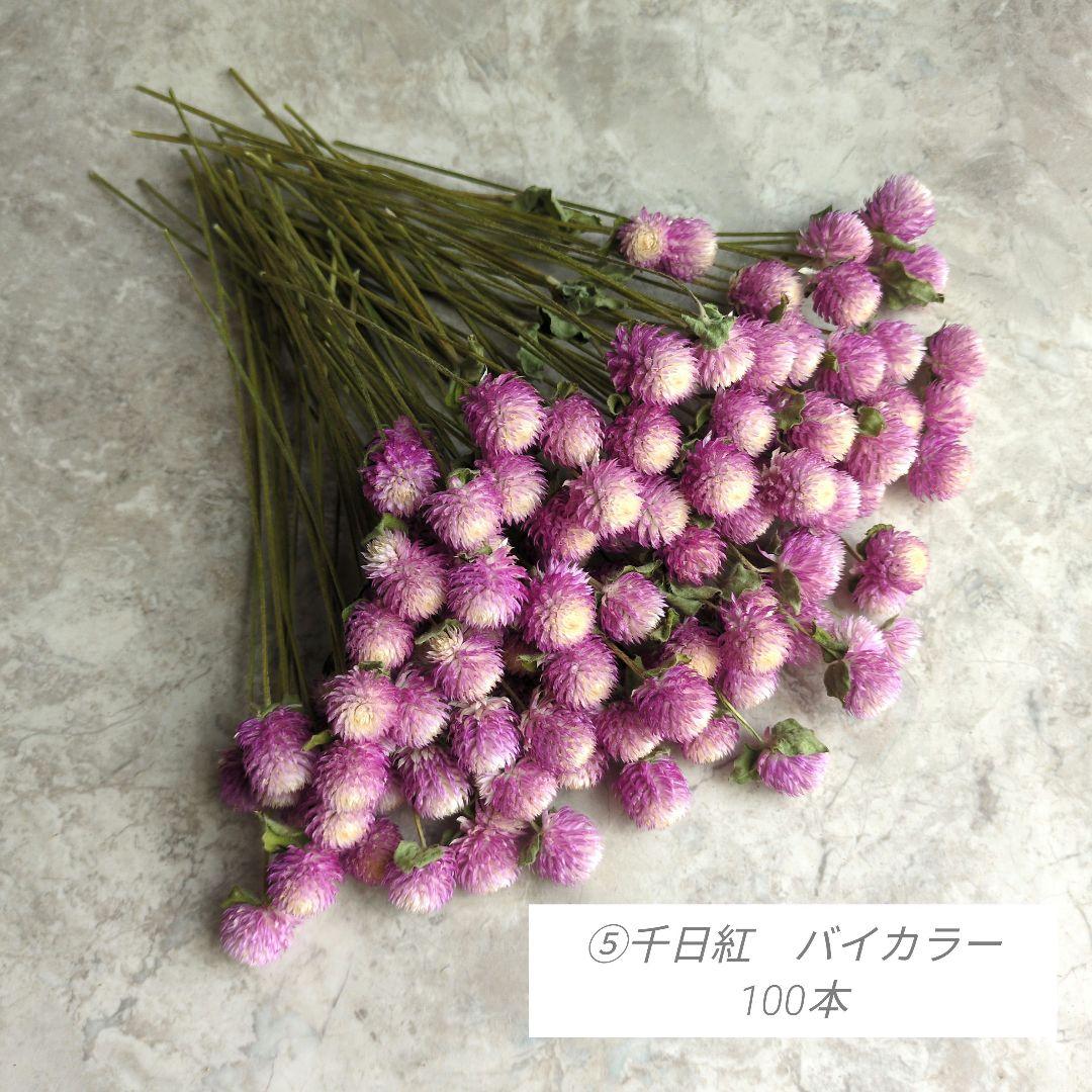 R★　ドライフラワー　お纏め