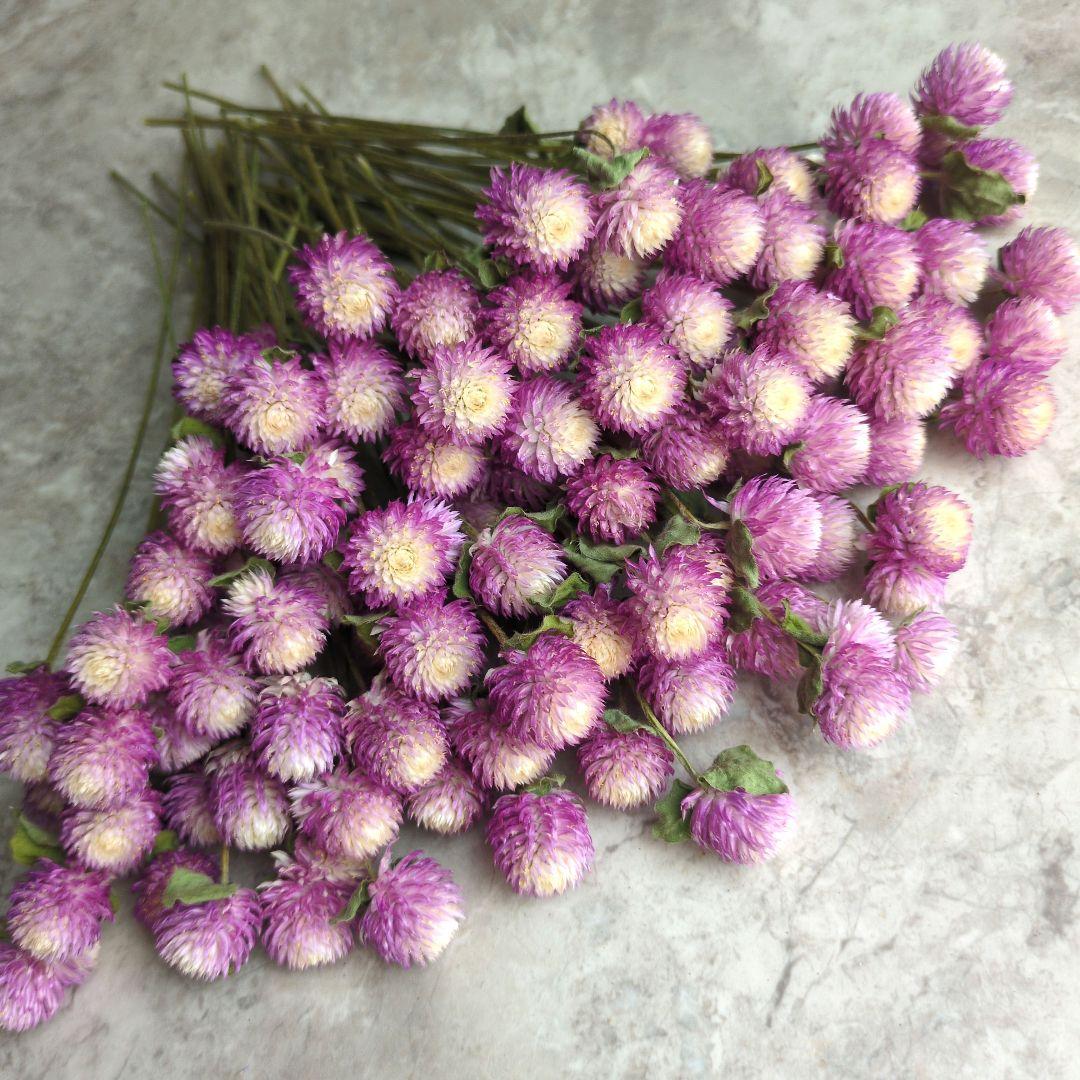 R★　ドライフラワー　お纏め