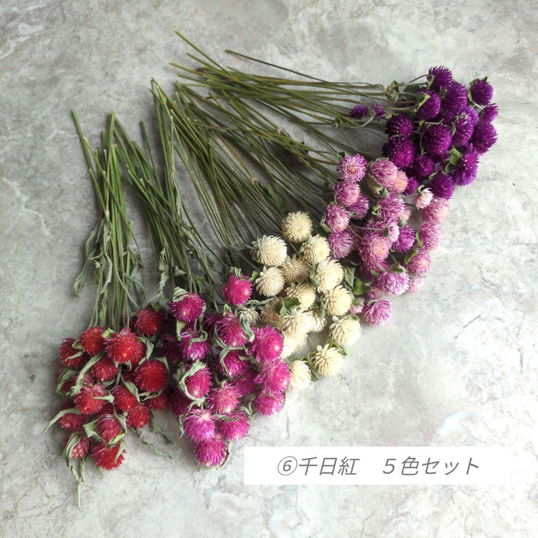 R★　ドライフラワー　お纏め