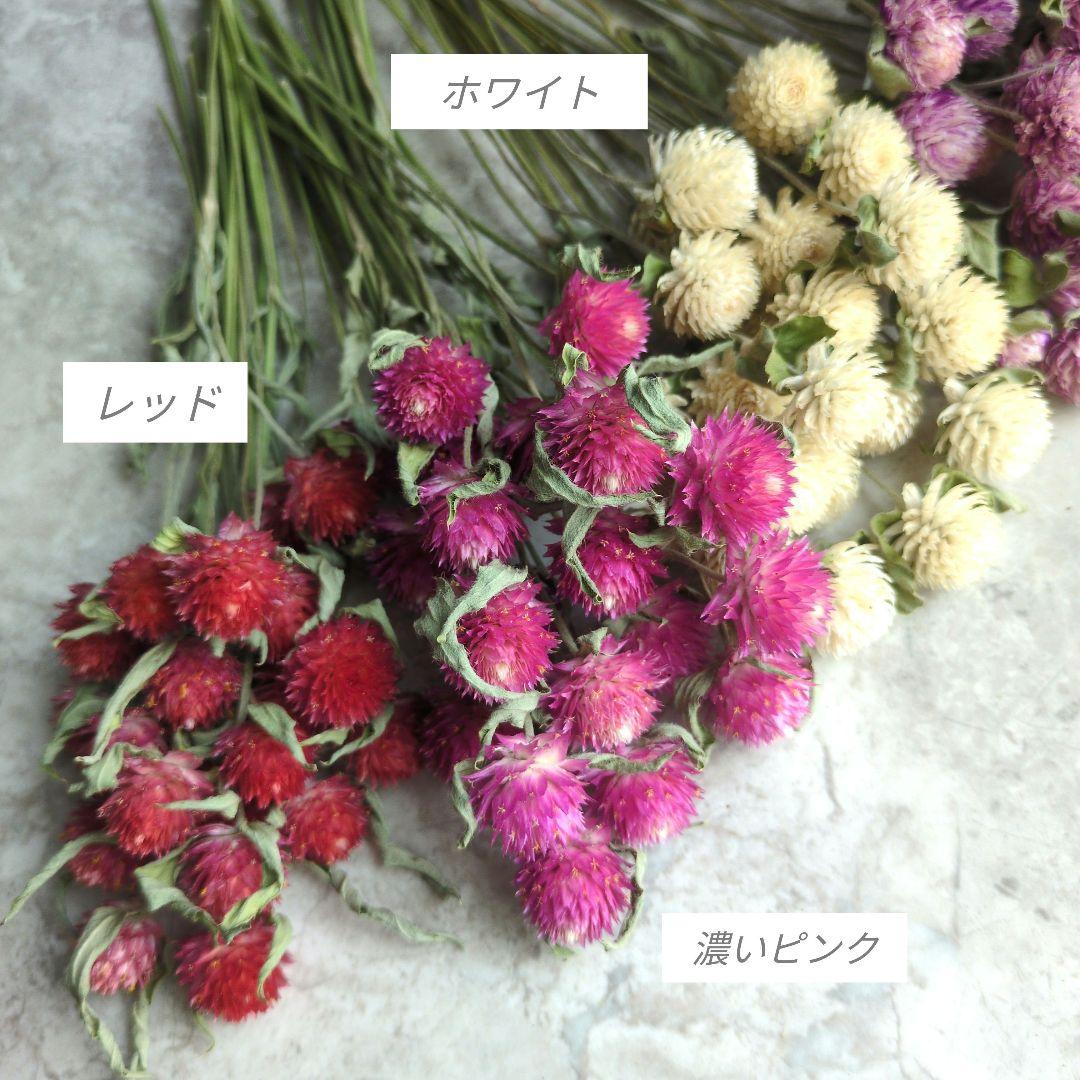 R★　ドライフラワー　お纏め