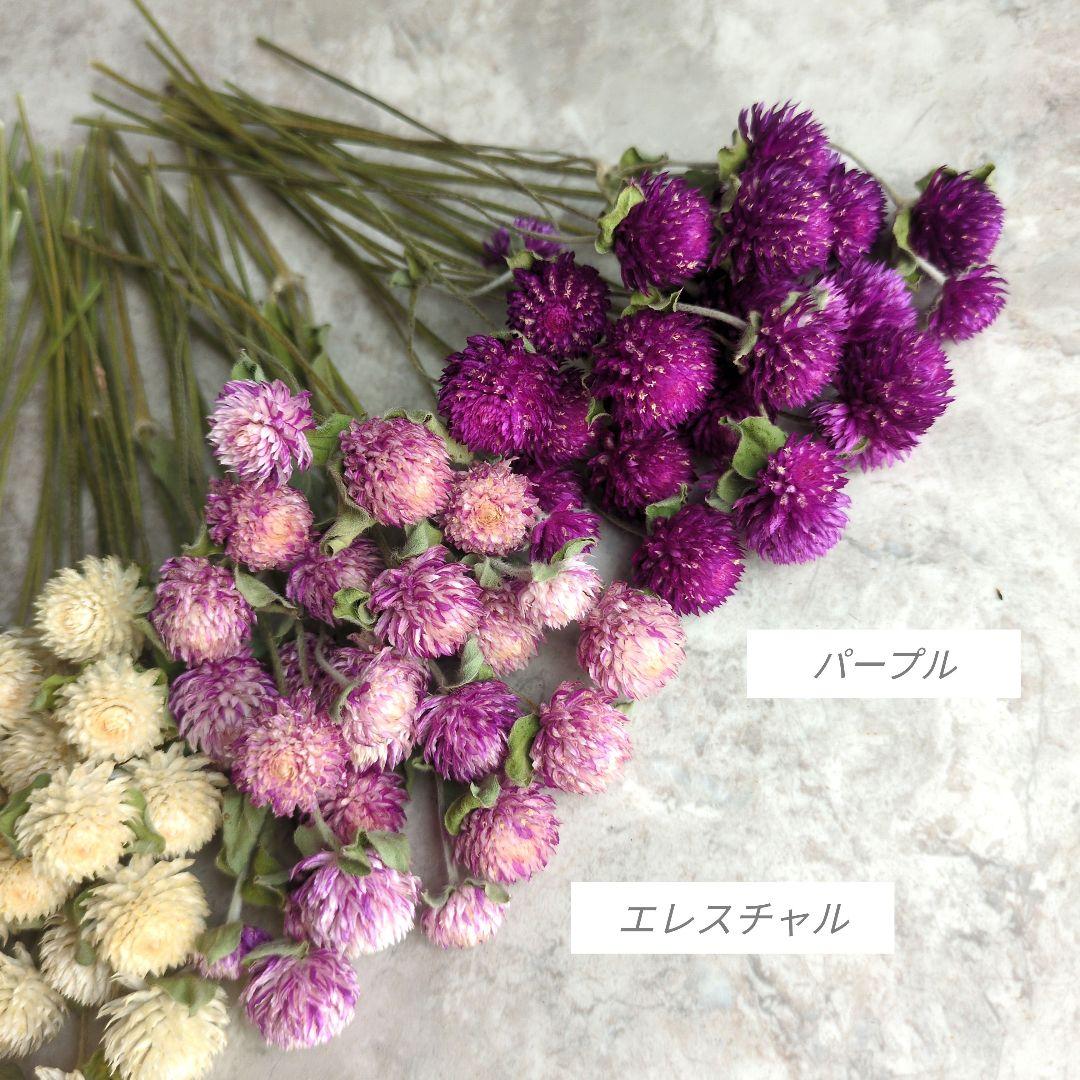 R★　ドライフラワー　お纏め