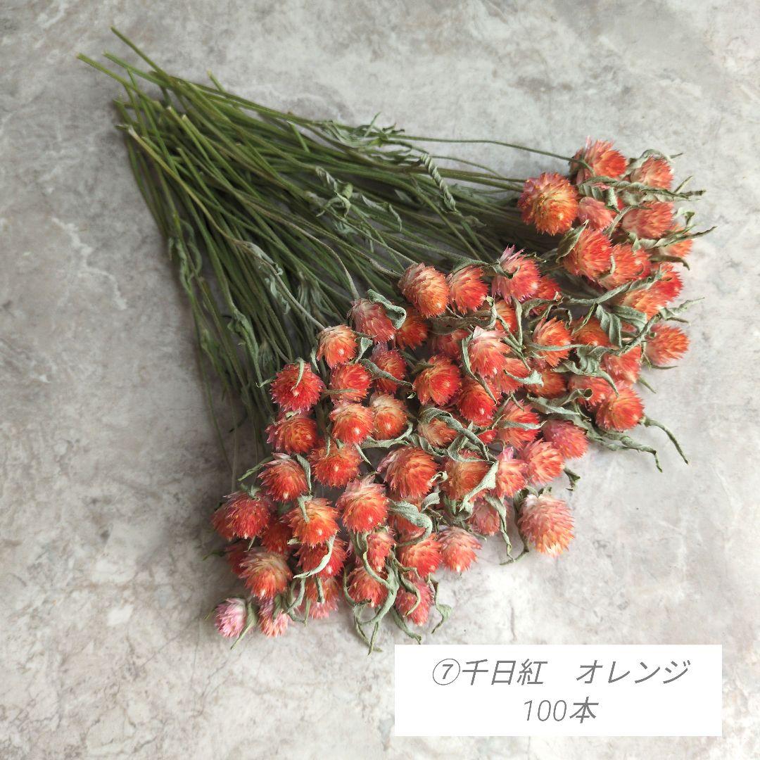 R★　ドライフラワー　お纏め