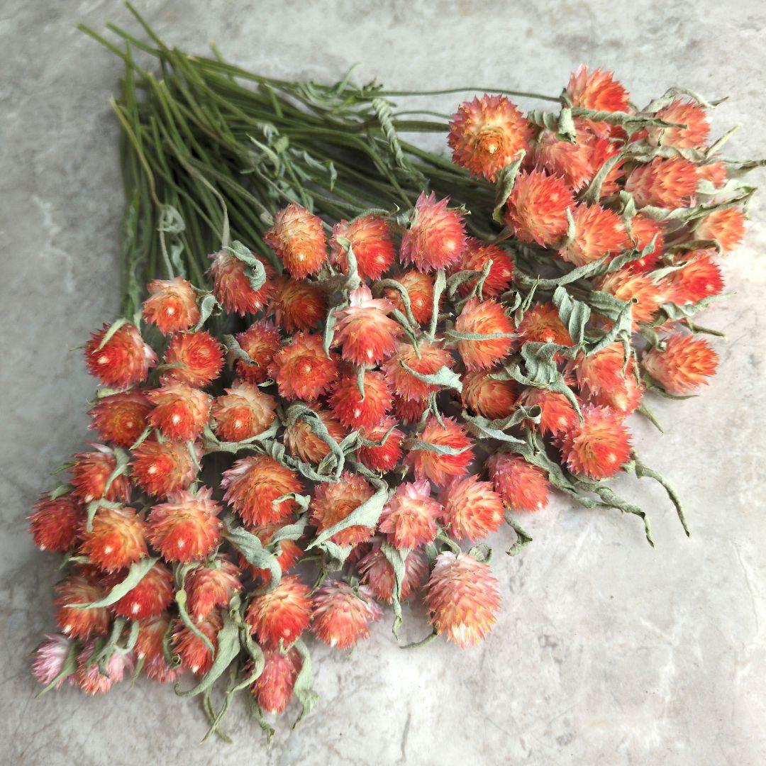 R★　ドライフラワー　お纏め