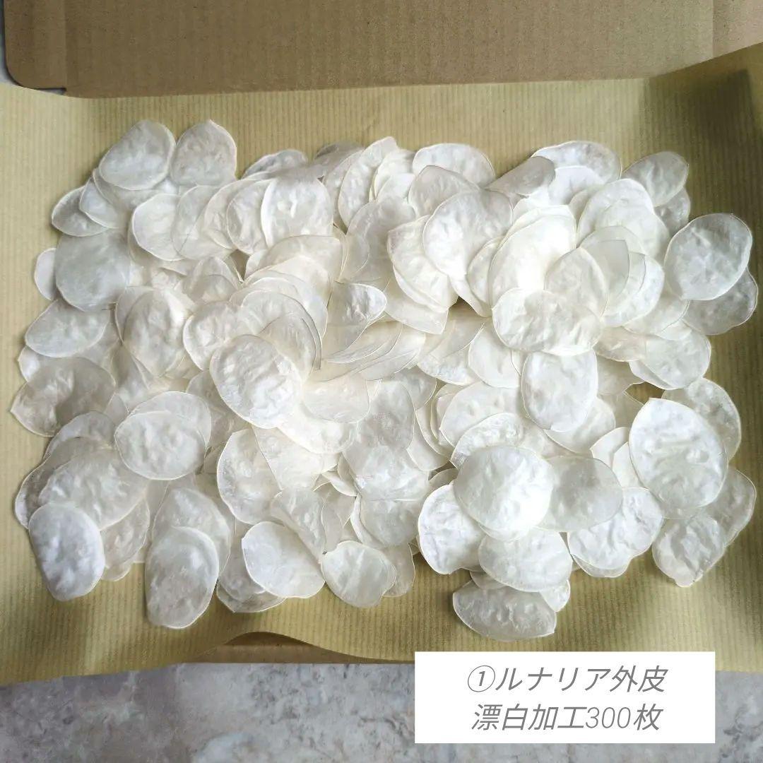 R★　ドライフラワー　お纏め