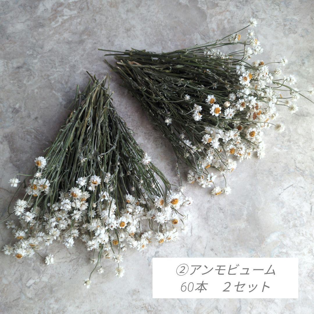 R★　ドライフラワー　お纏め