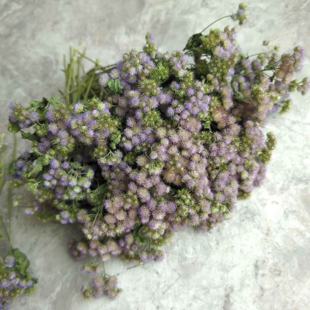 R★　ドライフラワー　お纏め