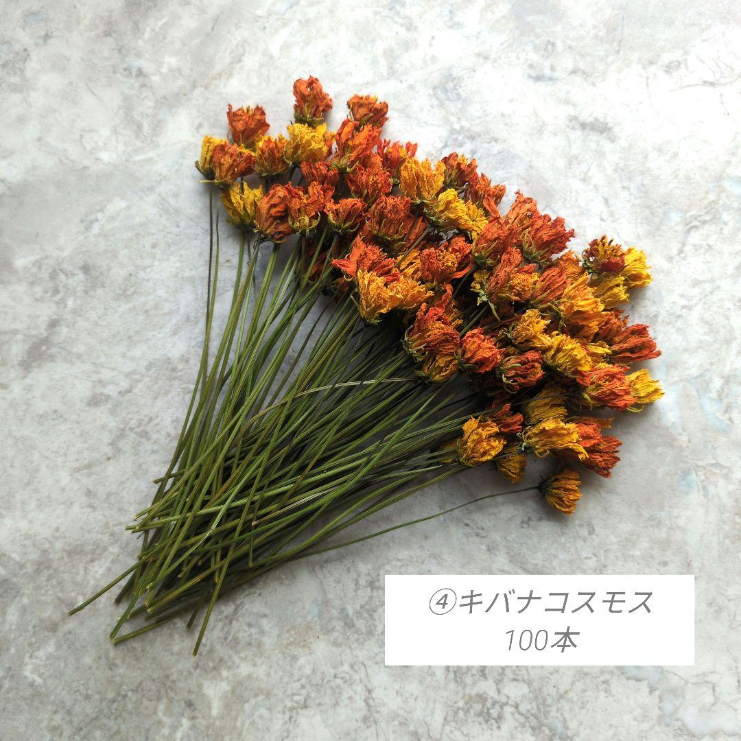 R★　ドライフラワー　お纏め