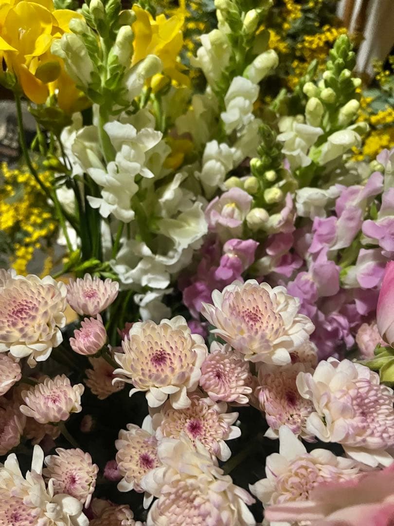 【のんさん専用】春の切花セット　ラナンキュラス　チューリップ他　生花　ネコポス