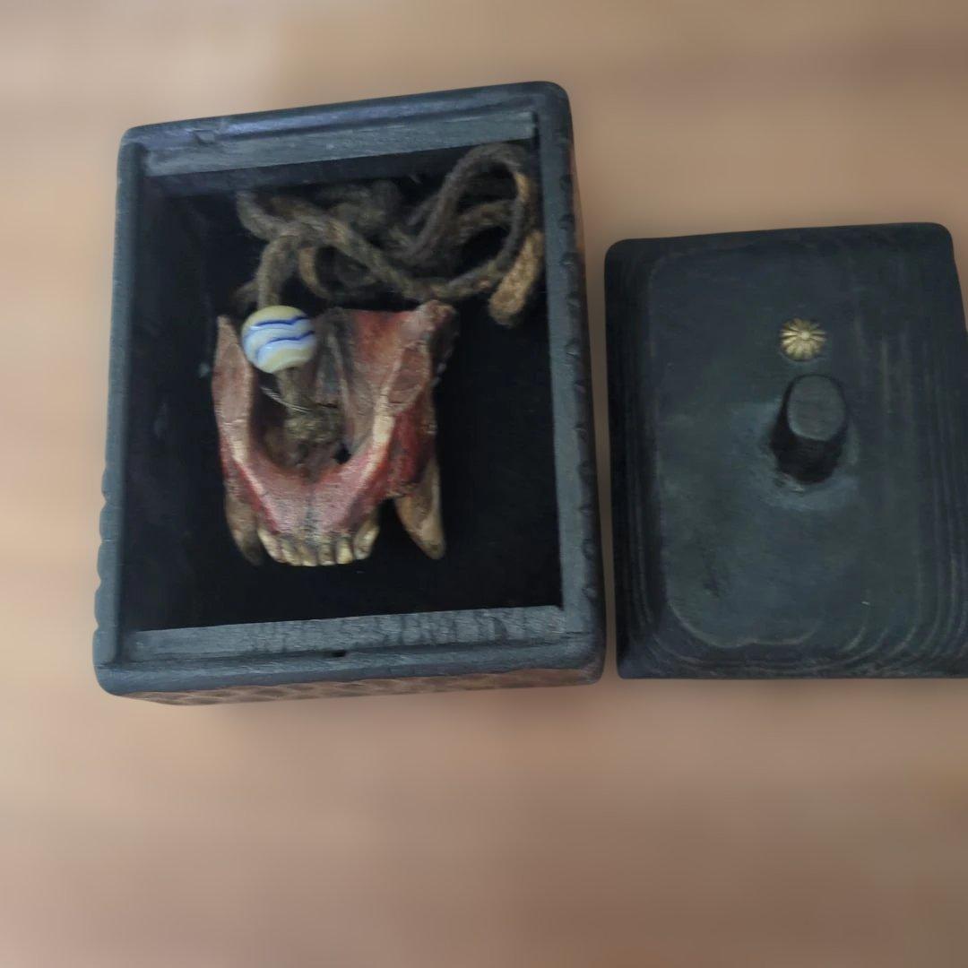 アイヌ　羆　上顎　牙　歯　根付