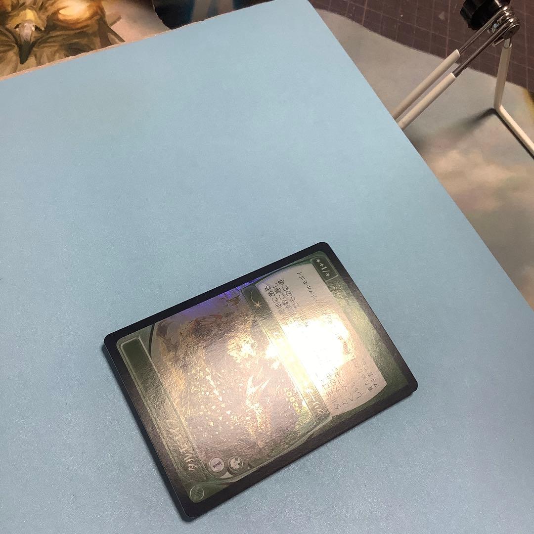 タルモゴイフ/Tarmogoyf  30周年記念　日本語foil