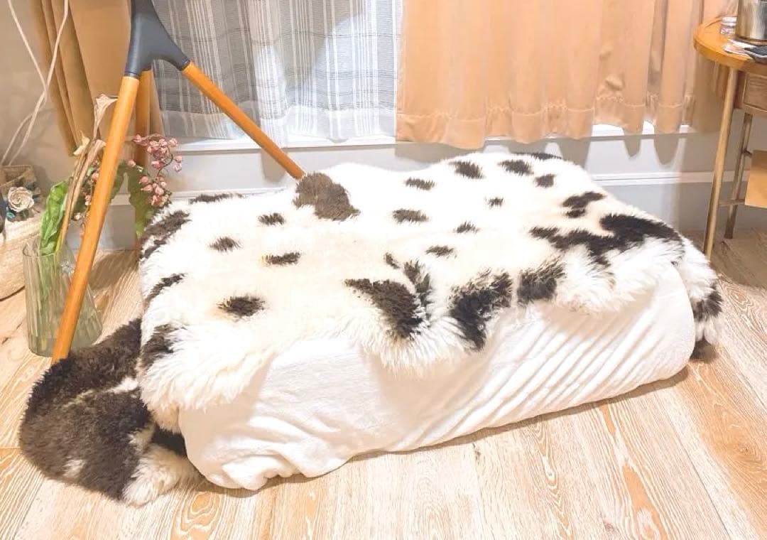 低反発ロングクッション　座椅子　ミニソファ