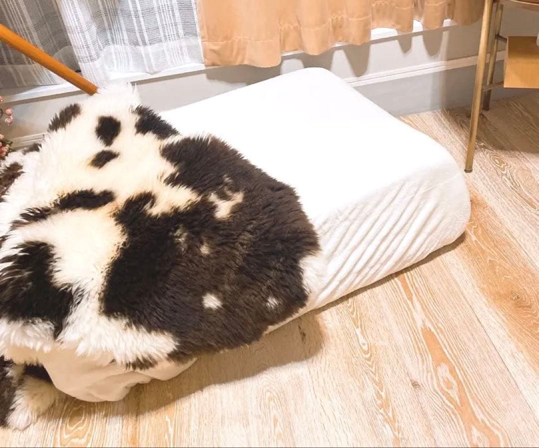 低反発ロングクッション　座椅子　ミニソファ