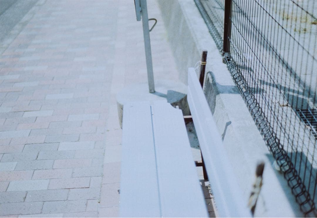 Canon AE-1 フィルム一眼レフカメラ 写例あり