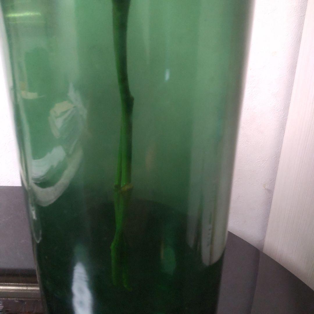 BoConcept　グリーンガラス製円筒形花瓶