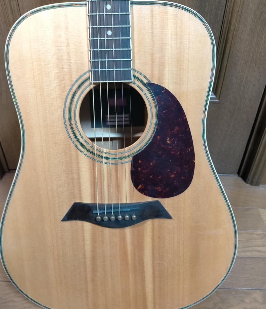 エリオス  アコースティックギターElioth BR-100/N