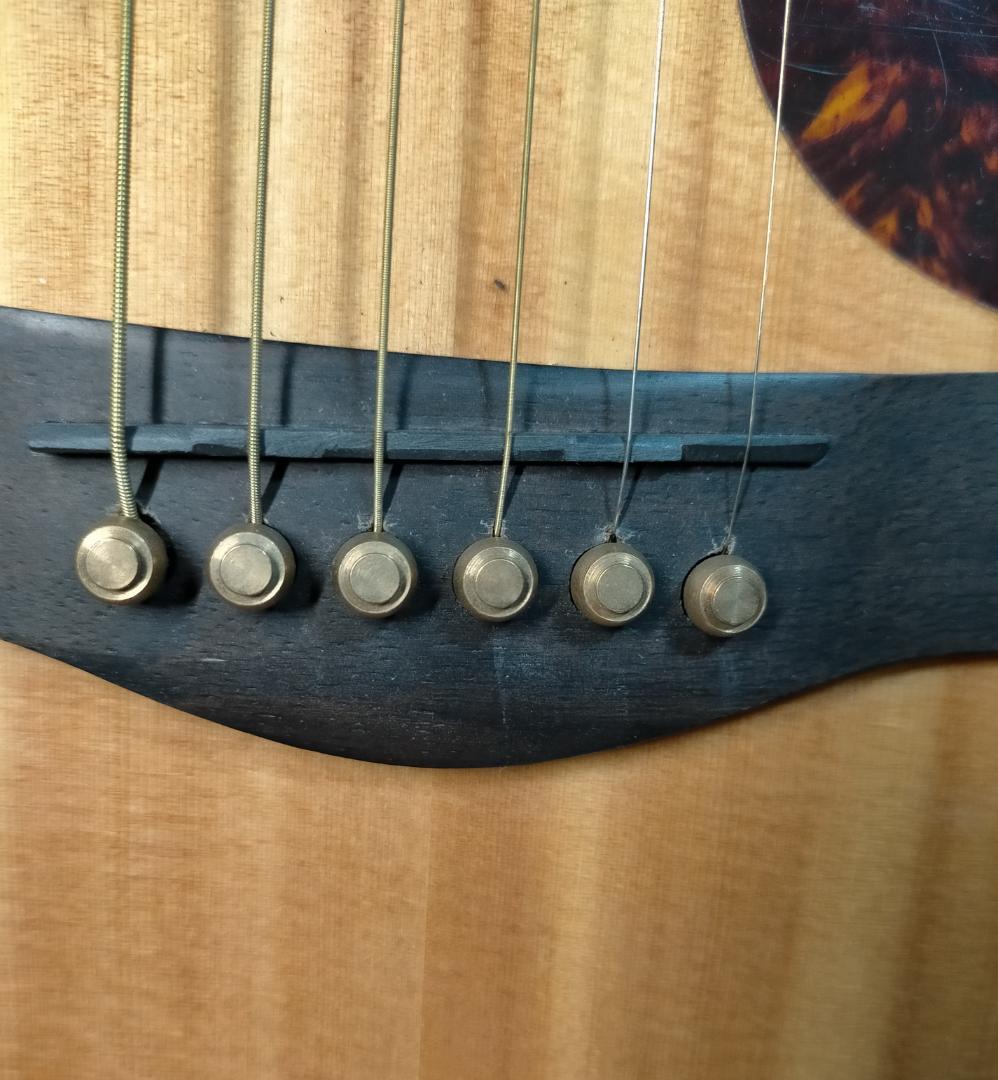 エリオス  アコースティックギターElioth BR-100/N