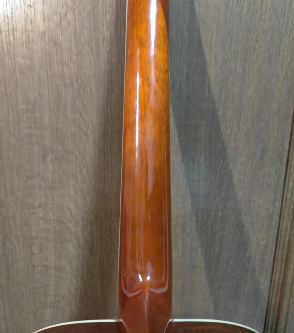 エリオス  アコースティックギターElioth BR-100/N