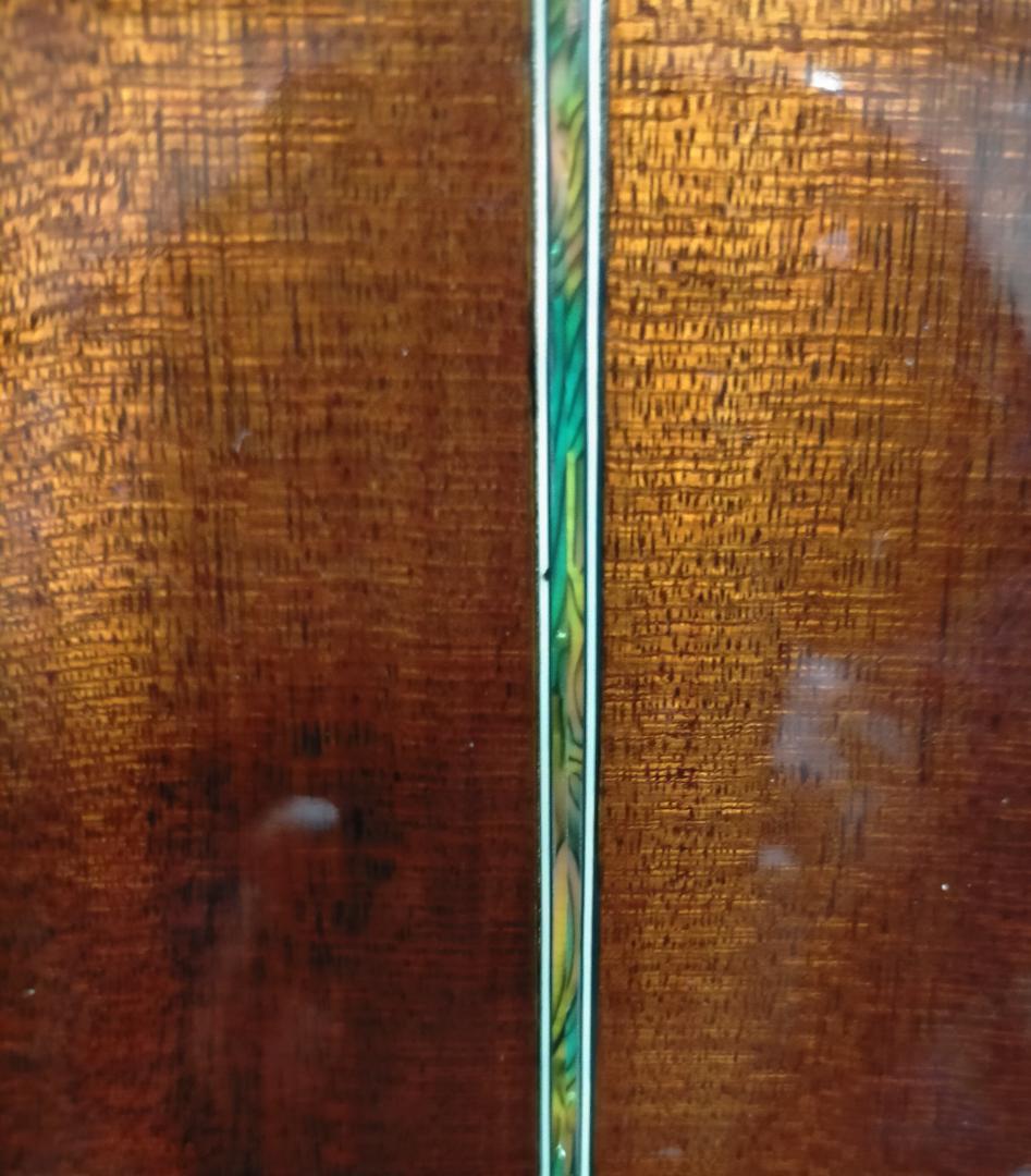 エリオス  アコースティックギターElioth BR-100/N