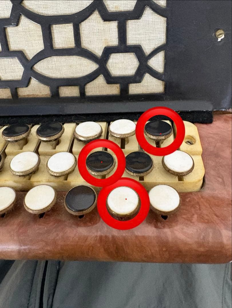 バヤン　ロシア　アコーディオン　アンティーク