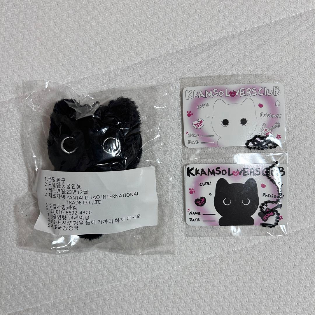 riize ウォンビン　ちびぬい　ぬいぐるみ　マスター　新品未使用　特典付き