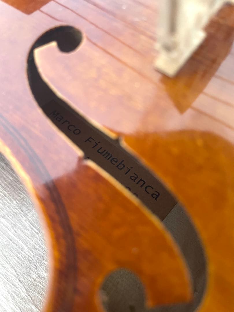 Marco Fiumebianca M-80 バイオリン