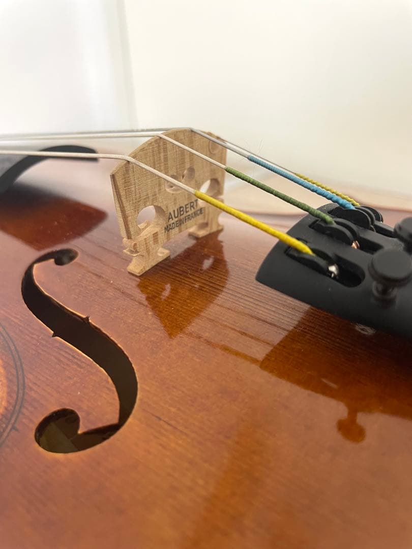 Marco Fiumebianca M-80 バイオリン