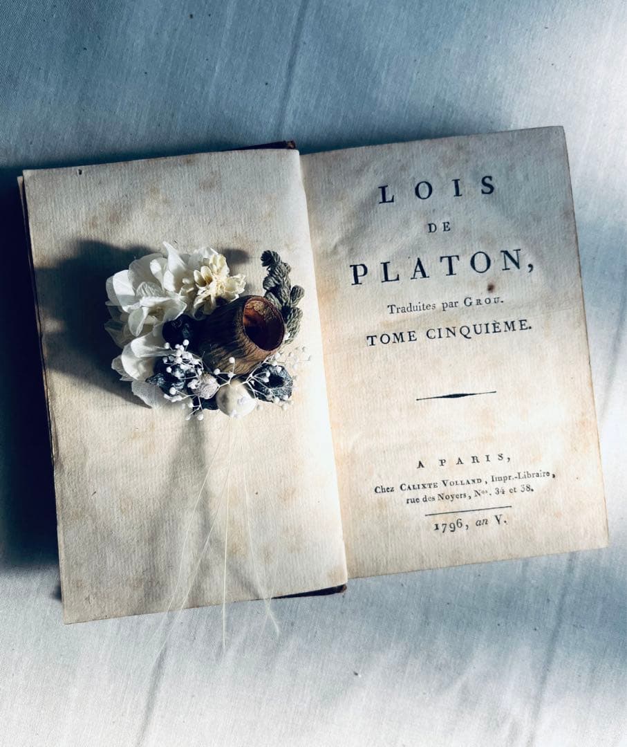 フラワー・ガーデニング corsage no.768