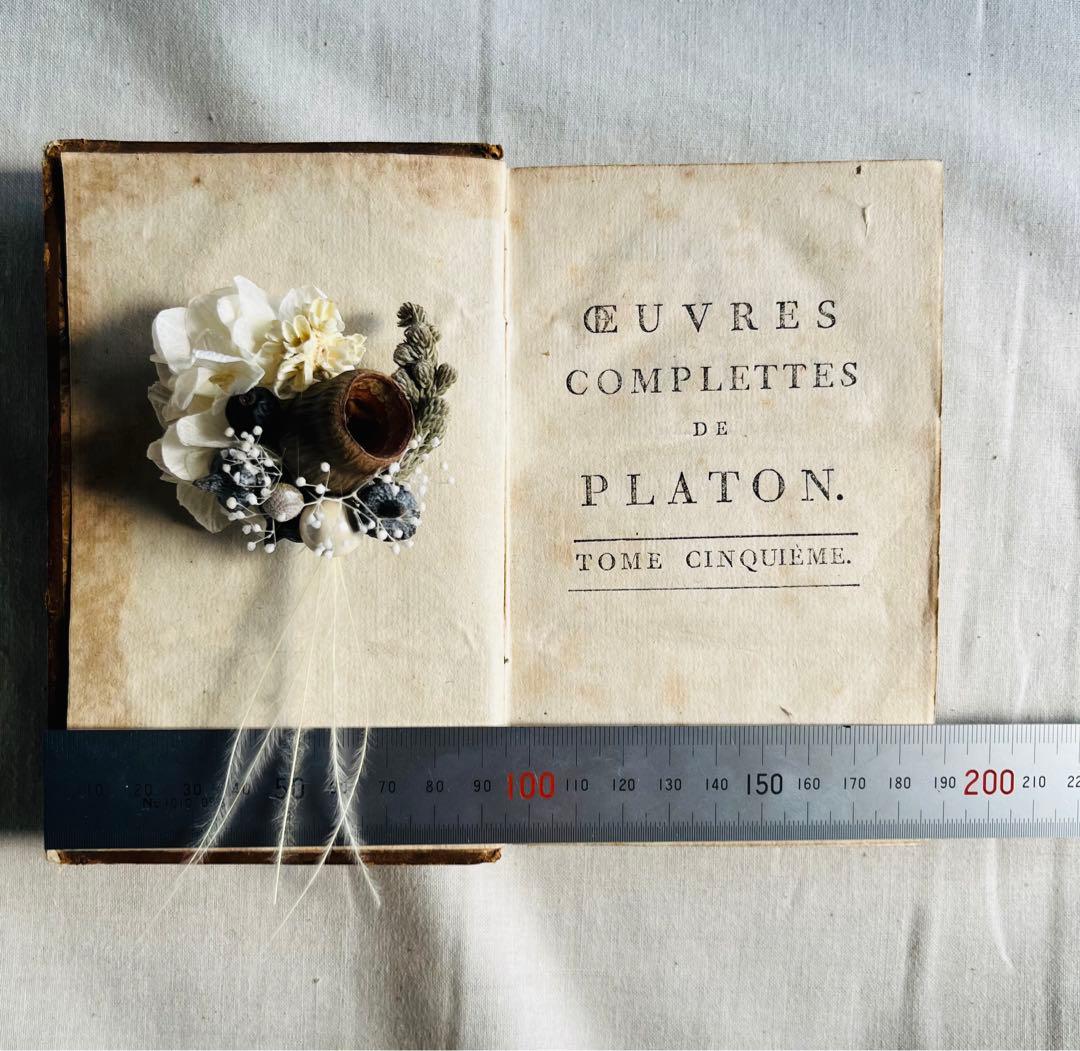 フラワー・ガーデニング corsage no.768