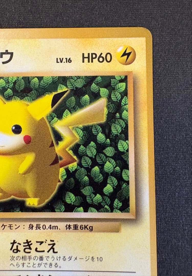 ピカチュウ 旧裏 コロコロ 付録 光沢有り 誤植版(Ken Sugimori)